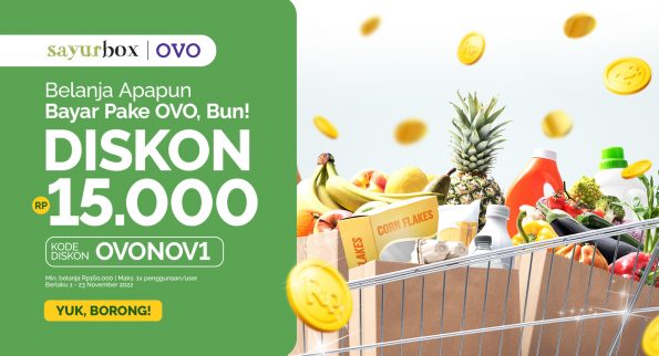 Belanja Makin Hemat Pakai Diskon OVO!