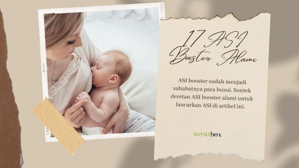 17 ASI Booster Alami, Busui Senang Si Kecil Pun Kenyang