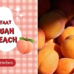 11 Manfaat Buah Peach, Gak Cuma Enak Tapi Juga Berkhasiat