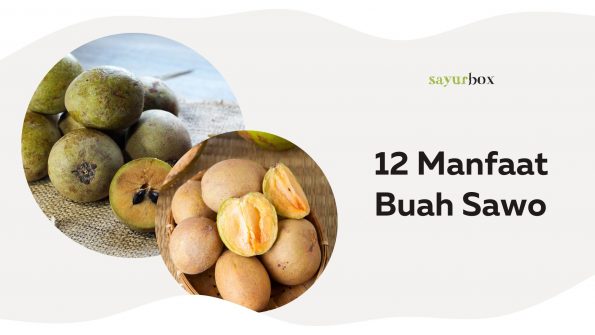 12 Manfaat Buah Sawo, Buah Eksotis dengan Khasiat yang Melimpah