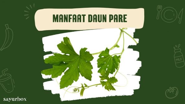 6 Manfaat Daun Pare, Khasiat Melimpah Dibalik Rasa Pahit