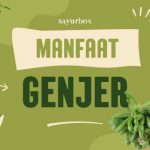 11 Manfaat Genjer, Bikin Kulit Sehat dan Bisa Cegah Kanker