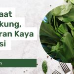11 Manfaat Kangkung, Sayuran Kaya Nutrisi untuk Kesehatan Tubuh