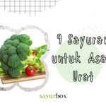 9 Sayuran untuk Asam Urat, Rendah Purin untuk Redakan Asam Urat