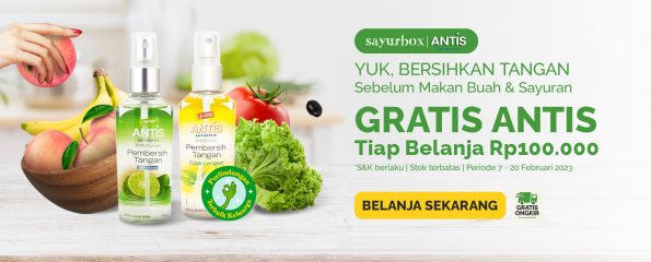 Sayurbox Mencari Bakat #6 Bareng Antis