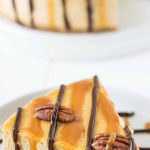 Pumpkin Turtle Cheesecake