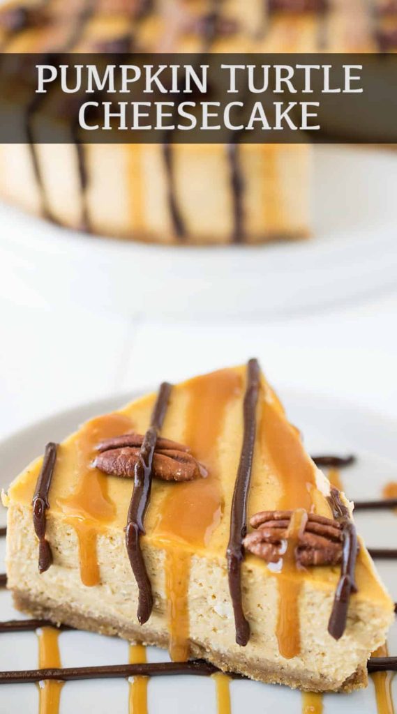 Pumpkin Turtle Cheesecake