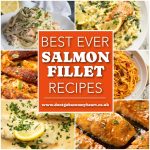12 Best Ever Salmon Fillet Recipes